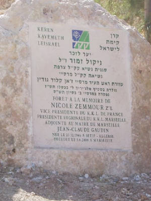 2003094.jpg